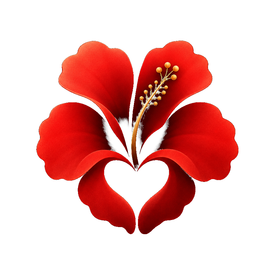A single red hibiscus — the national flower of Haiti